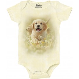 Body chiot golden - The...